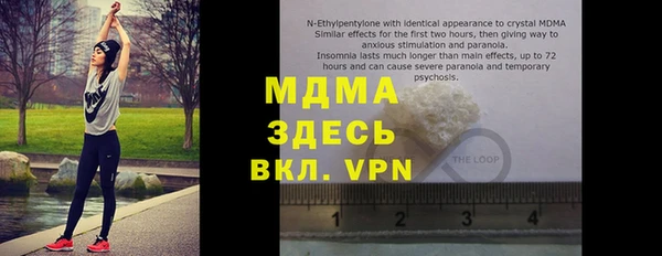 индика Надым