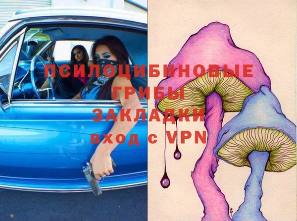 прущая мука Нея