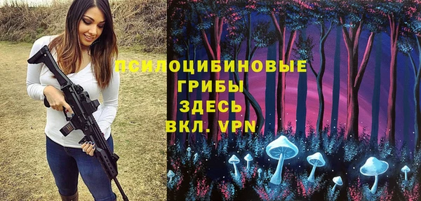 прущая мука Нея