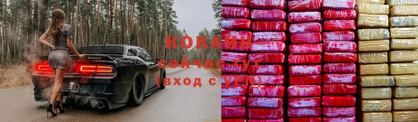 прущая мука Нея