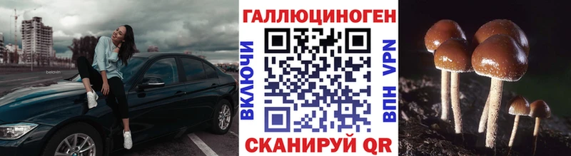 Галлюциногенные грибы Cubensis  Губкинский 