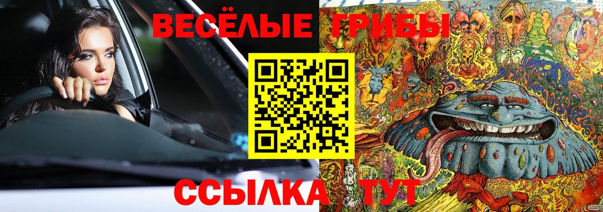 Губкинский  Псилоцибиновые грибы Magic Shrooms  Вход с VPN 