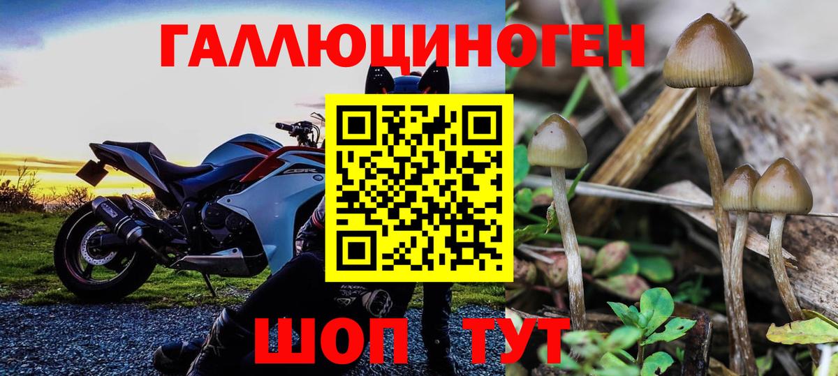 COCAIN Губкинский