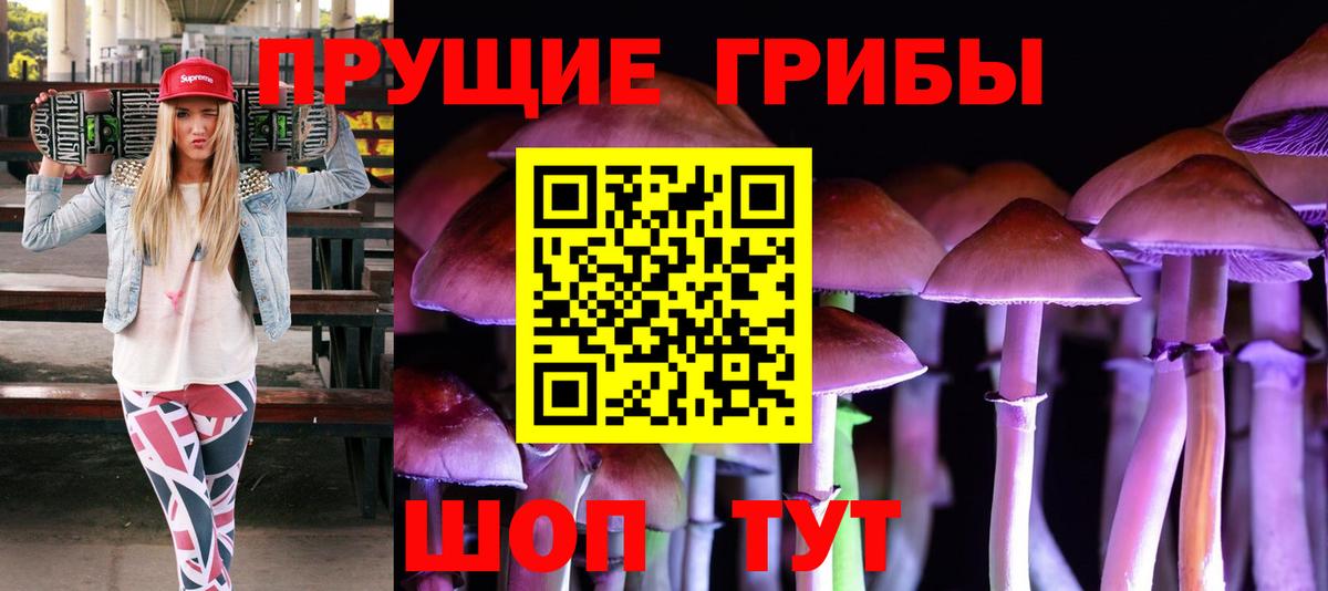 Псилоцибиновые грибы мицелий Губкинский