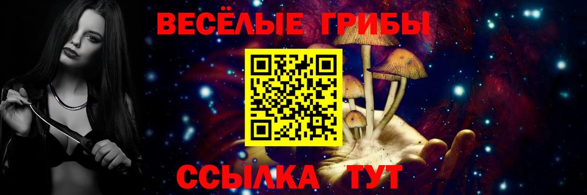Псилоцибиновые грибы Cubensis Губкинский